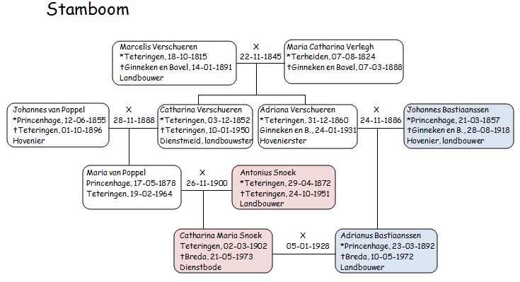 Archief - Past Presents Stamboomonderzoek En Voorouderverhalen